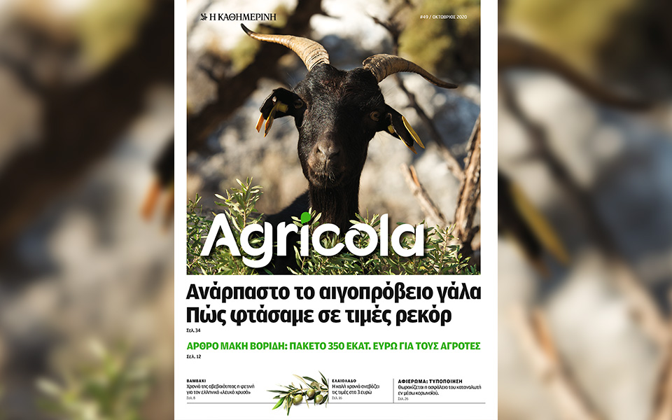 ο-αγρότης-στην-πρώτη-σελίδα-561113014