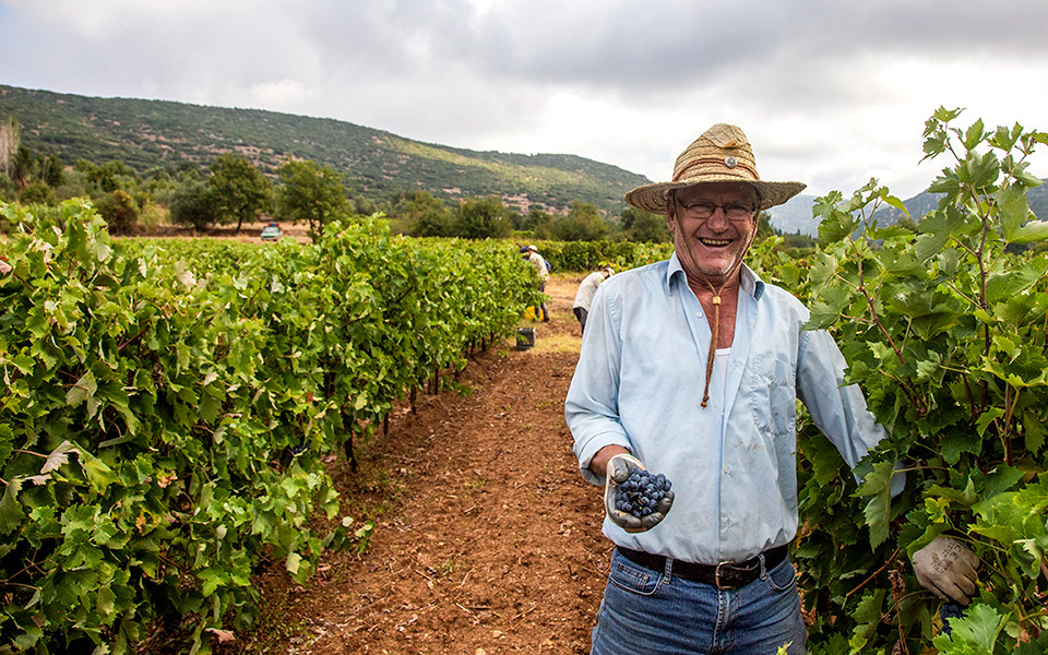 πέρα-από-το-κρασί-561101839