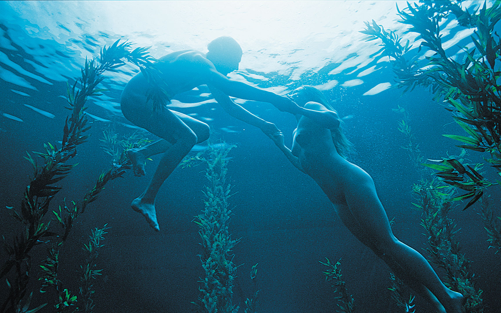 βαδίζοντας-στα-παράξενα-μονοπάτια-το-561120346