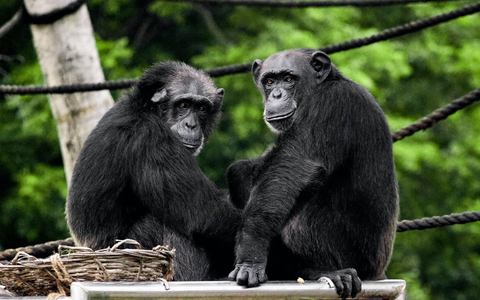 γίνεστε-πιο-επιλεκτικοί-στις-φιλίες-μ-561128509