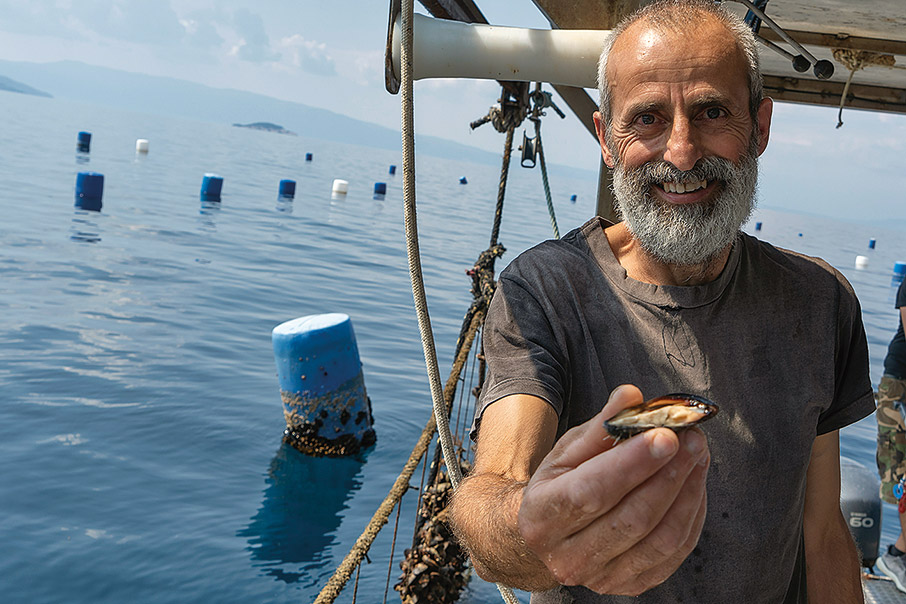 Χαλκιδική για όλους-1