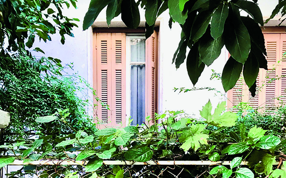 αθόρυβες-διαδρομές-στα-στενά-των-αμπε-561138040