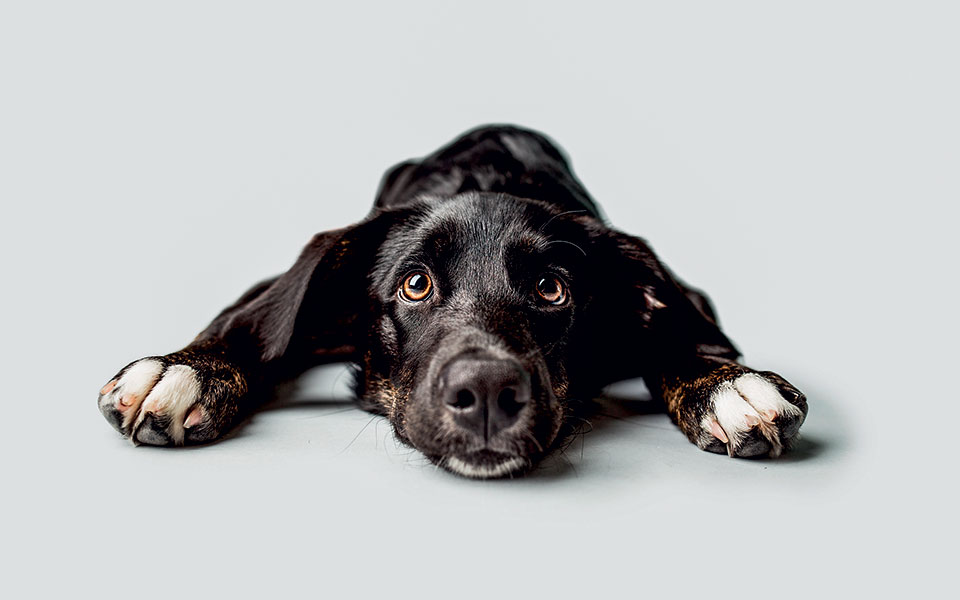 η-κουλτούρα-της-ατιμωρησίας-561131881