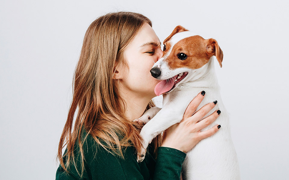 υπεράνω-πάσης-υποψίας-561100300