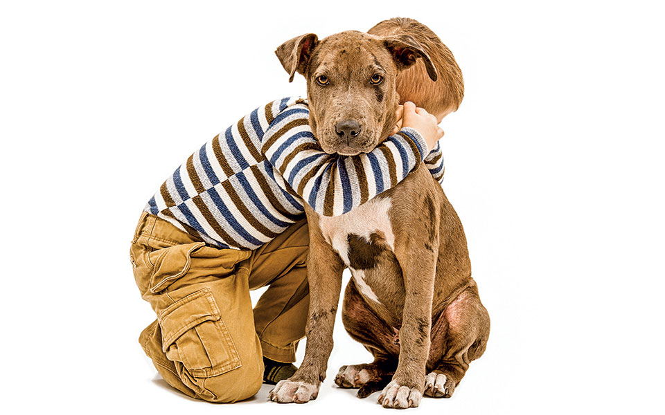 υιοθεσίες-με-ένα-κλικ-561125692