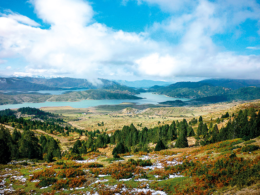 Οι «δικοί μας» μανιταρότοποι-6