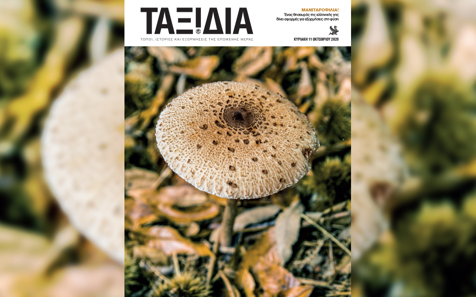 Αυτή την Κυριακή με την Καθημερινή: ΓΑΣΤΡΟΝΟΜΟΣ, ΚΑΠΑ, ΤΑΞΙΔΙΑ-3