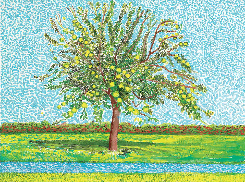 Το lockdown του Ντέιβιντ Χόκνεϊ-1