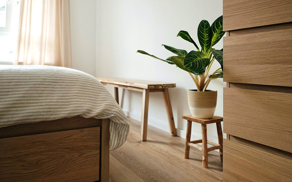 φυτά-εσωτερικού-χώρου-που-δεν-χρειάζο-561104383