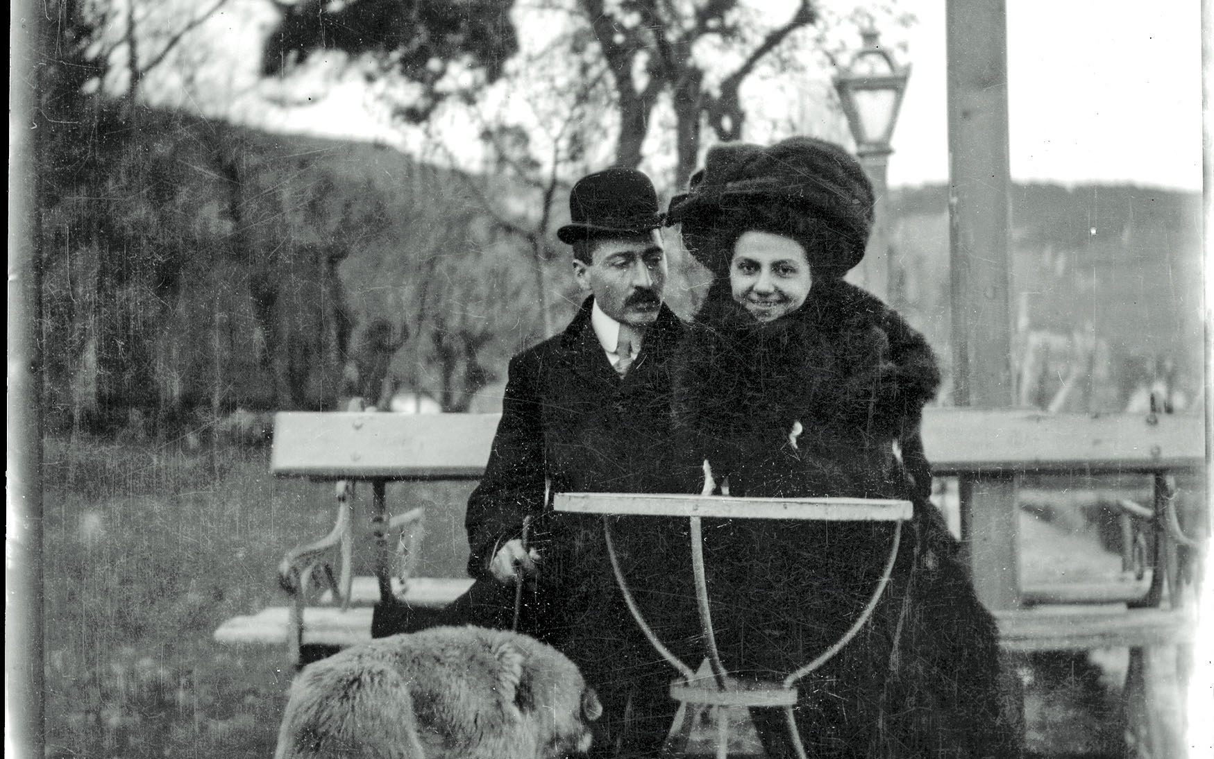 τα-υποκείμενα-νοσήματα-της-πολιτεί-561121780