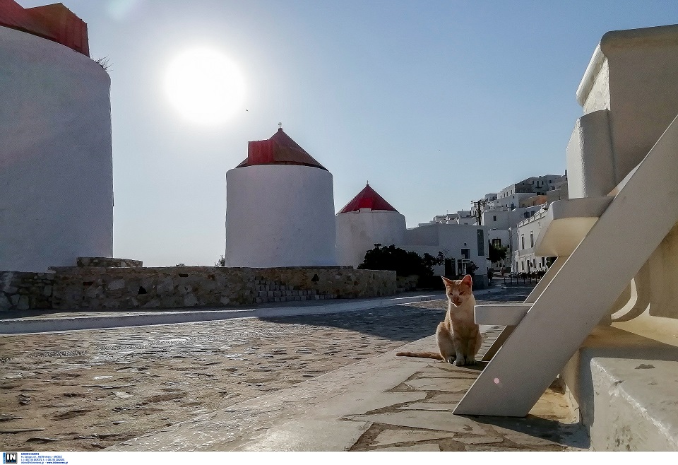 αύριο-το-πρωί-οι-υπογραφές-για-την-επέν-561142867