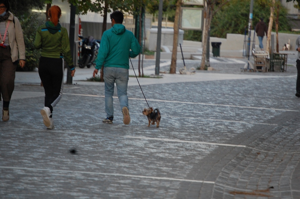 Φωτορεπορτάζ «Κ»: Η πρώτη ημέρα του δεύτερου lockdown-13