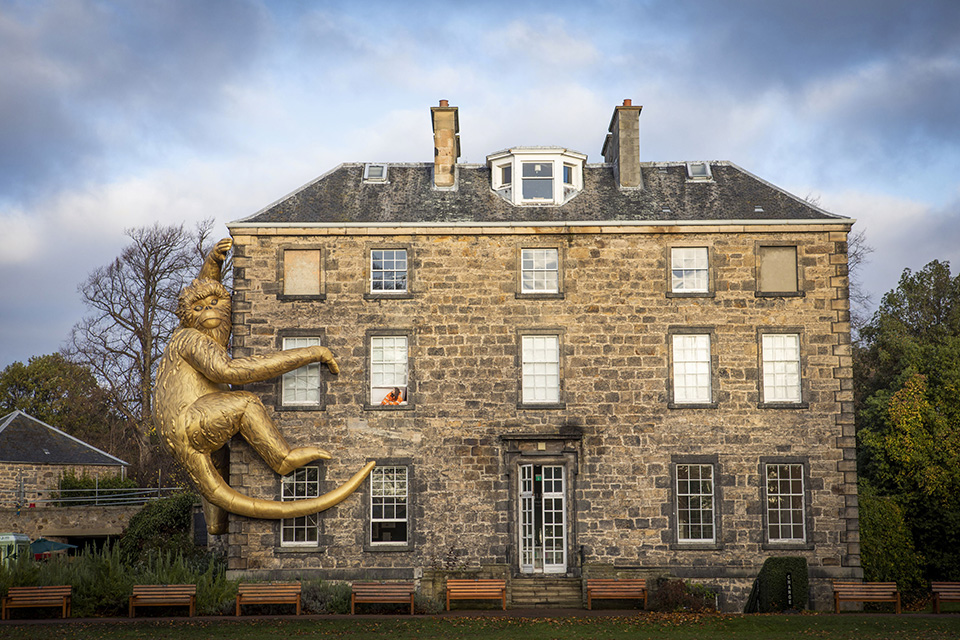 η-χρυσή-μαϊμού-561144706