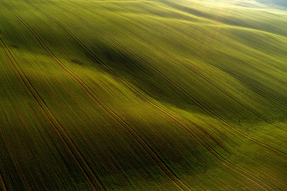 τα-σιταροχώραφα-561179257