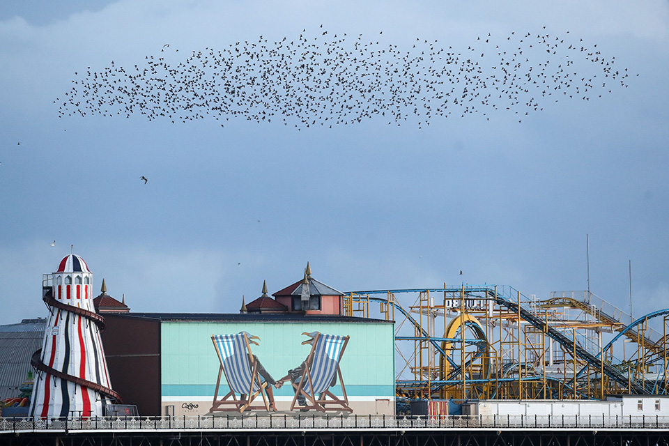 Καρτ ποστάλ