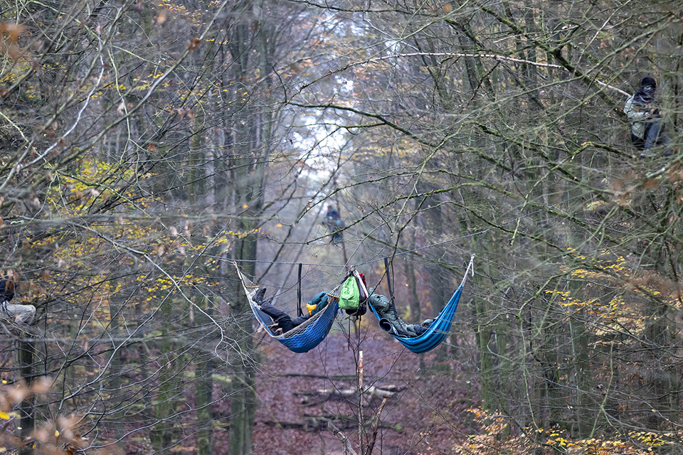 Οι φύλακες των δασών