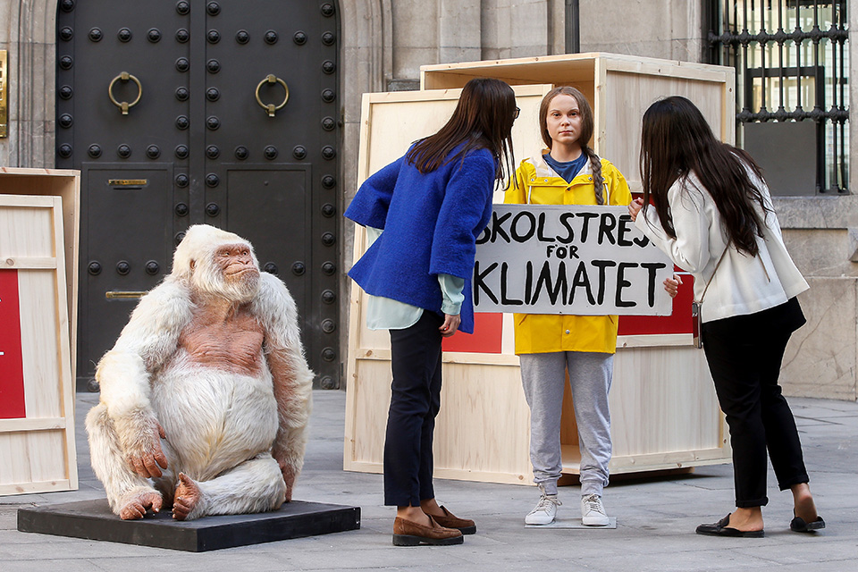 Διασημότητα της εποχής μας