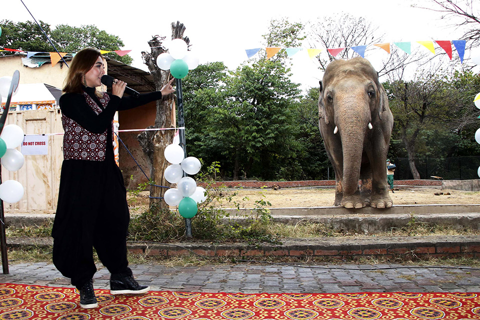 Τραγούδια της ξενιτιάς 