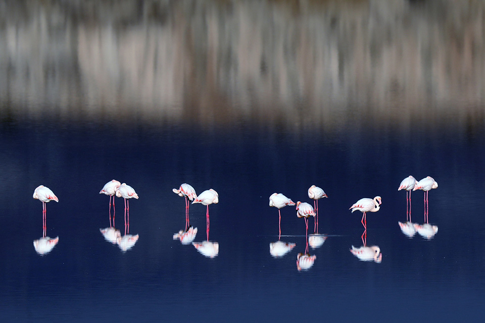 Το χρώμα της φλόγας