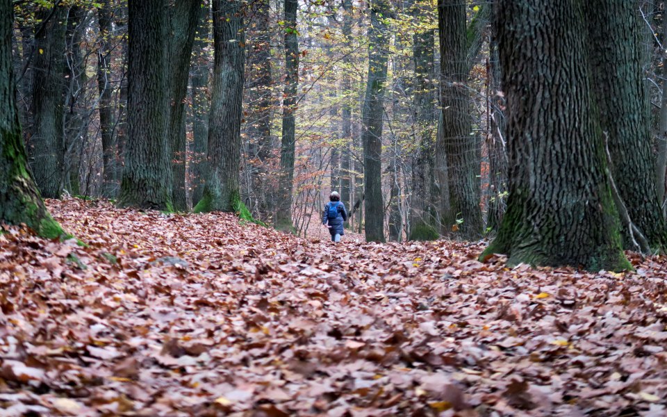 έρευνα-η-κλιματική-αλλαγή-αλλάζει-τ-561175252