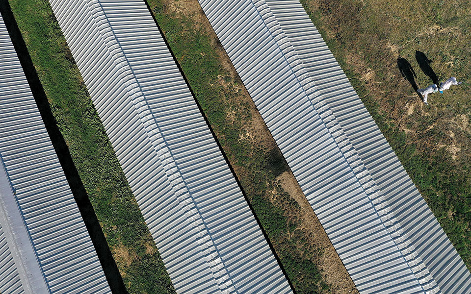 οι-φάρμες-της-ανησυχίας-561178945