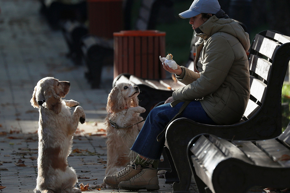 Δουλικότητα ή τυφλή υποταγή;