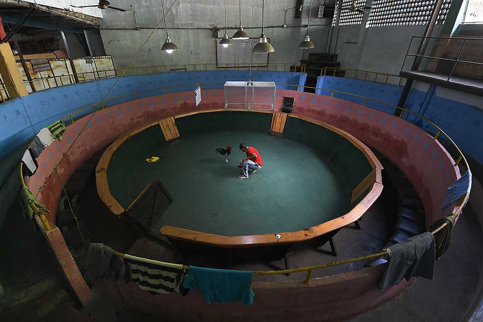 Στην άδεια αρένα