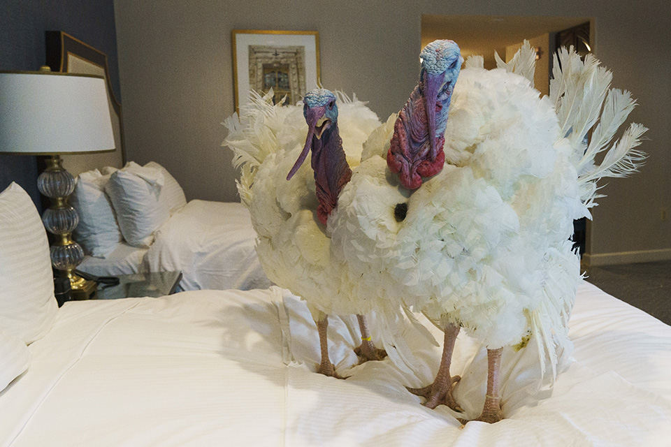 Οι φιναλίστ