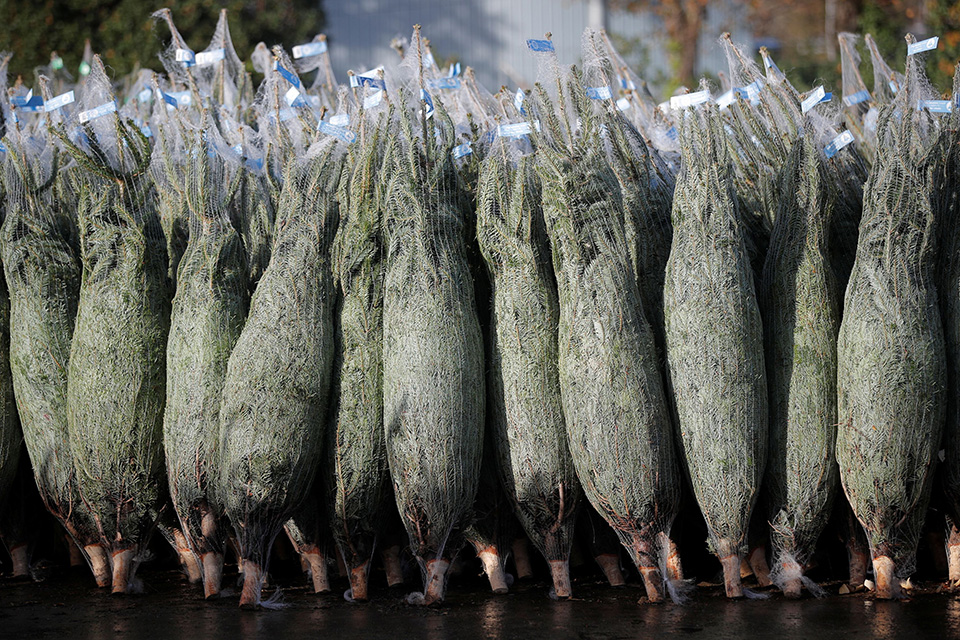 Τα Χριστούγεννα θα μας σώσουν;