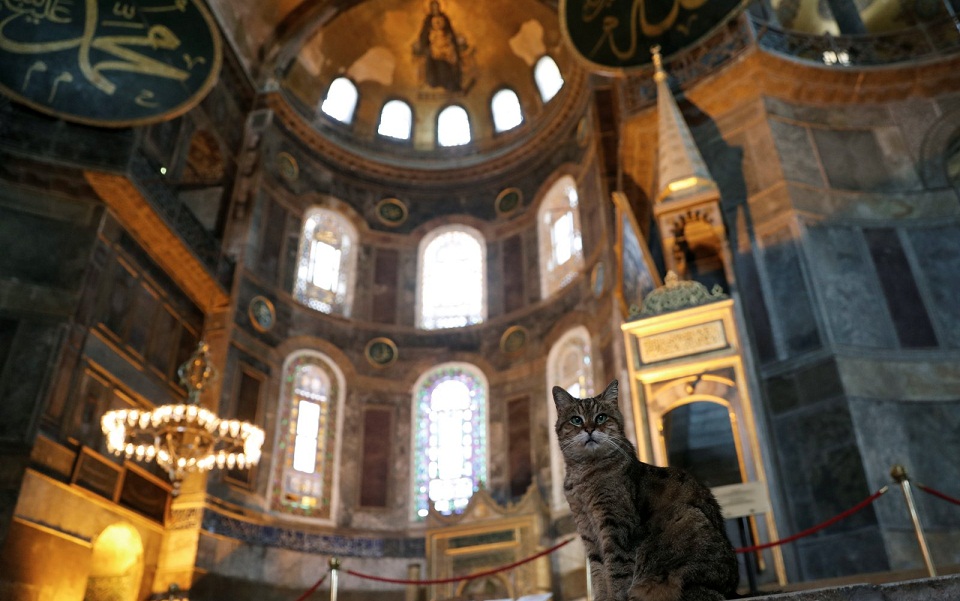 η-κωνσταντινούπολη-θρηνεί-τη-γάτα-της-561149737