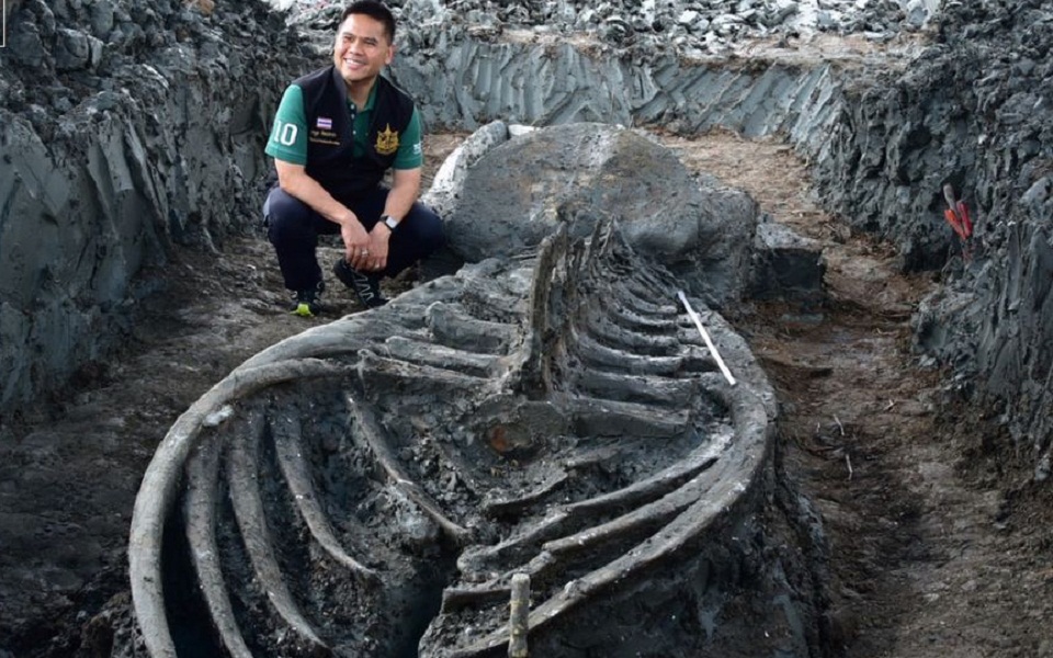 παράθυρο-στο-παρελθόν-ο-σκελετός-φά-561175438