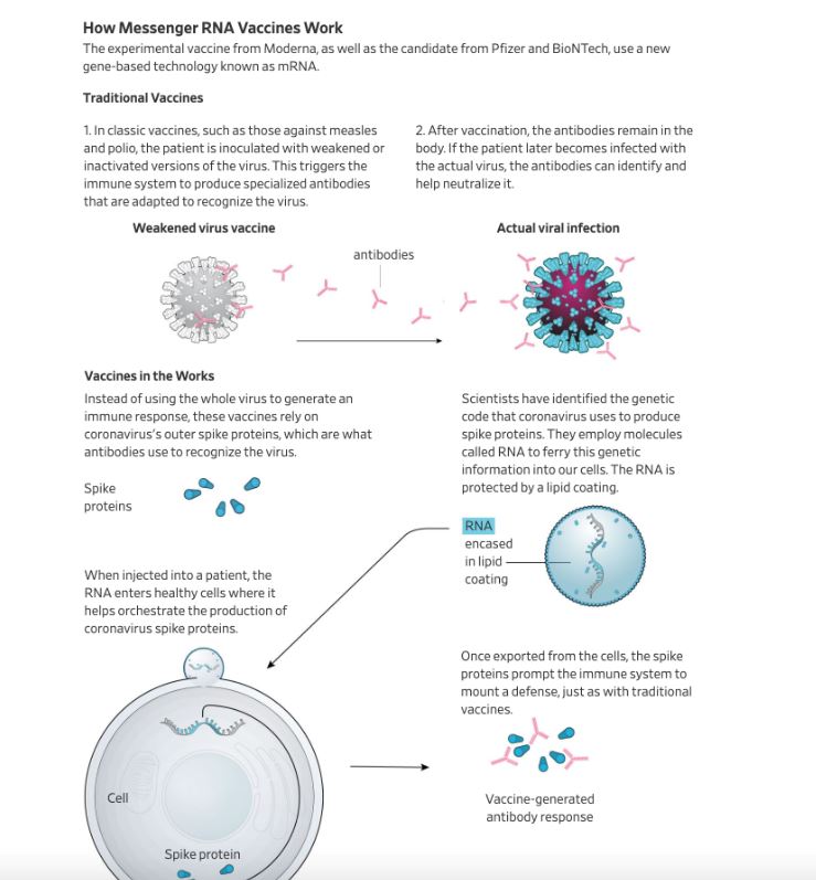 Κορωνοϊός: Πώς τα εμβόλια ενεργοποιούν την άμυνα του οργανισμού-1