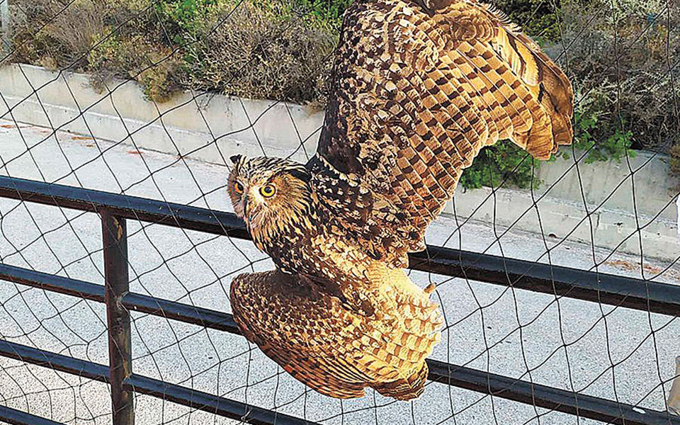 μια-τρυφερή-ιστορία-με-καλό-τέλος-και-π-561146734