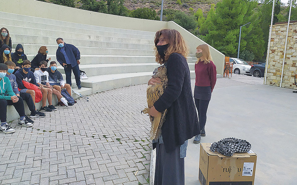 Μια τρυφερή ιστορία με καλό τέλος και πρωταγωνιστή έναν θηλυκό μπούφο-1