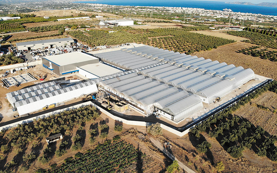 φαρμακευτική-κάνναβη-made-in-greece-561148729