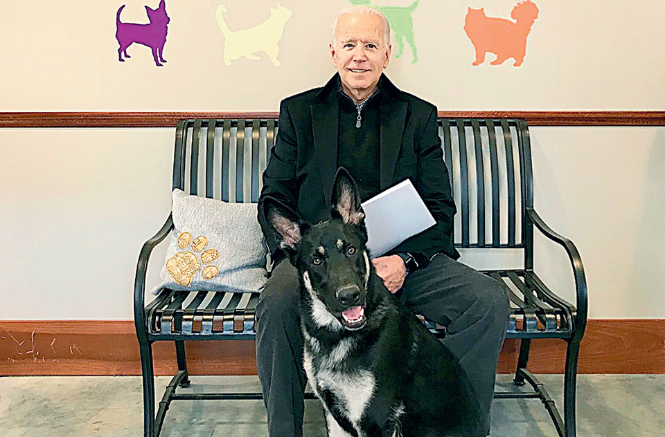 Η γάτα της Αγίας Σοφίας και τα σκυλιά του Τζο Μπάιντεν διαγωνίζονται στα διεθνή ΜΜΕ-1