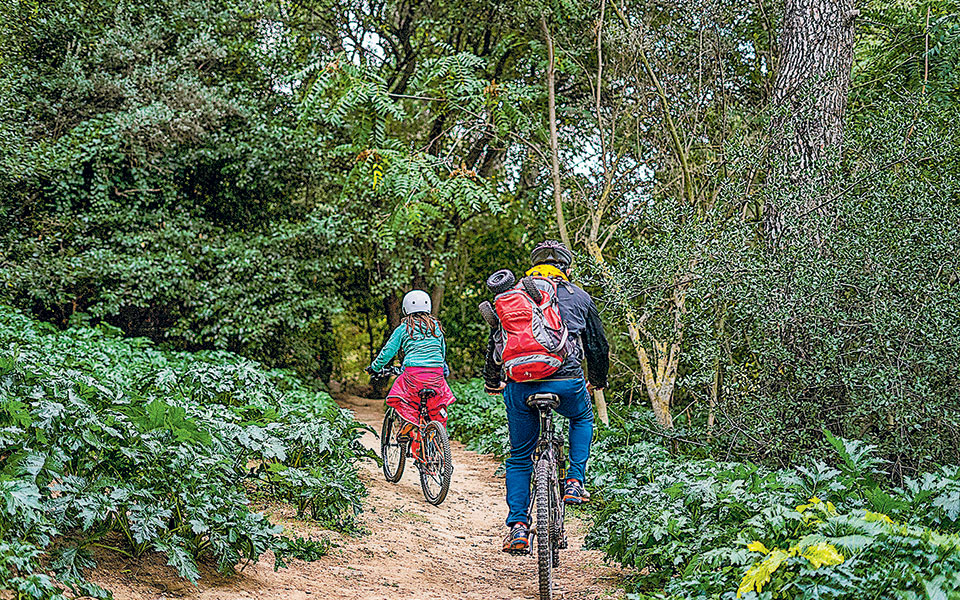 ανάσες-στη-ρεματιά-χαλανδρίου-561151483