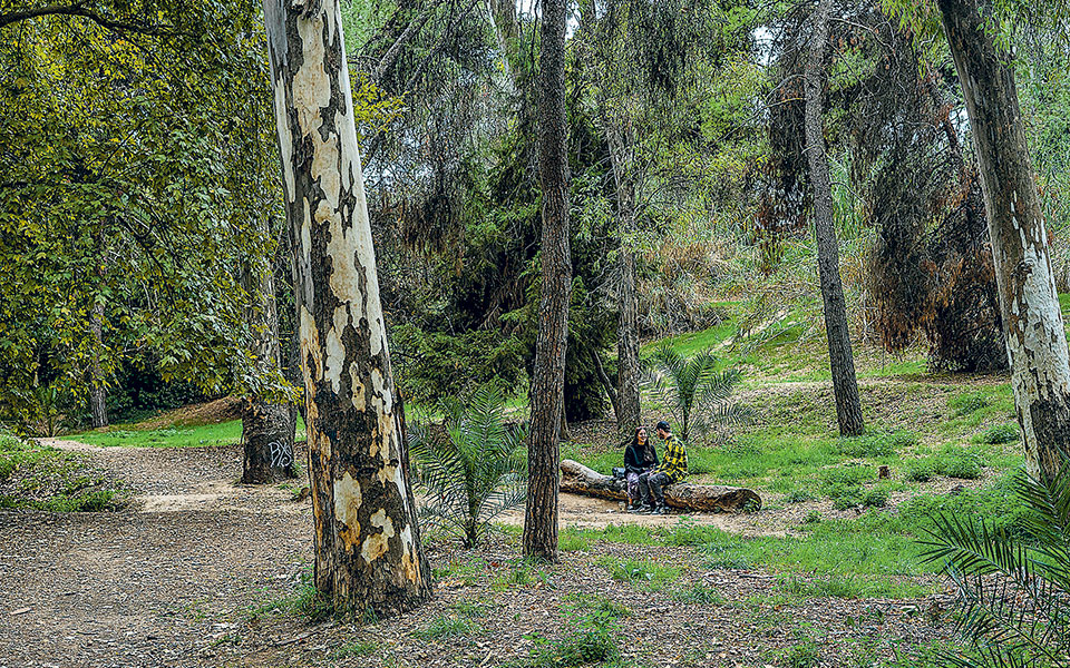Ανάσες στη Ρεματιά Χαλανδρίου-1