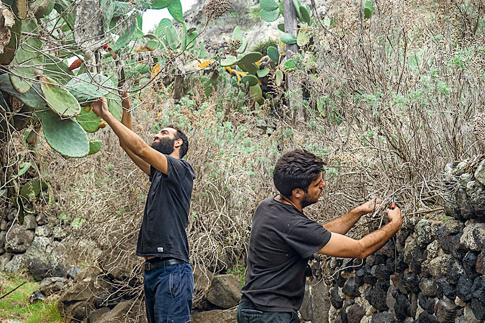 Ανακαλύπτοντας τα μυστικά και την ανέγγιχτη μαγεία της Θηρασιάς-1