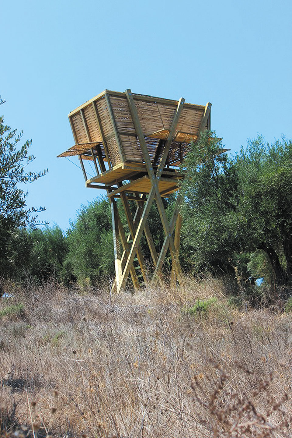 Η αιώνια επιστροφή της καλύβας-5