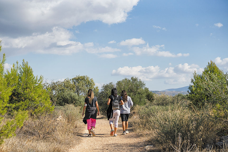 Βουλιαγμένη: Ένα πρωινό στον λόφο της Φασκομηλιάς-1