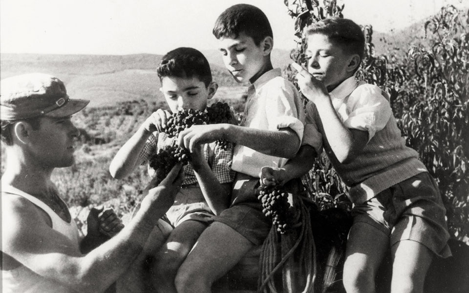 Γιάννης Μπουτάρης: Ζωή ριζωμένη στο αμπέλι-3