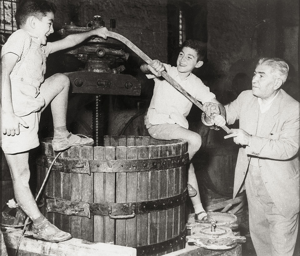 Γιάννης Μπουτάρης: Ζωή ριζωμένη στο αμπέλι-2