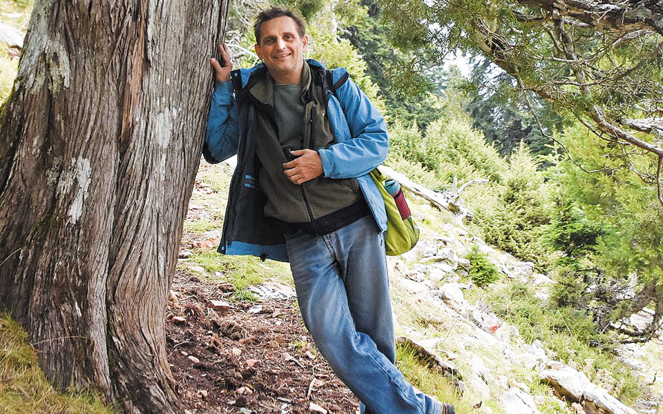 τα-ελληνικά-πλατάνια-κινδυνεύουν-ας-τ-561164656