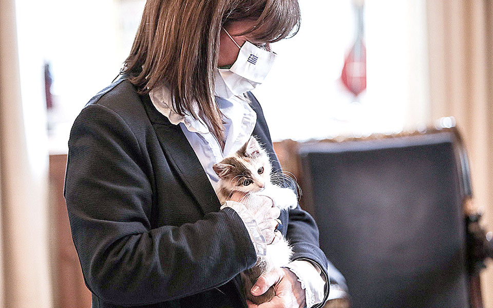 η-τρίχρωμη-καλυψώ-είναι-η-νέα-ένοικος-τ-561166558