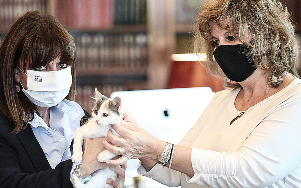 Η τρίχρωμη Καλυψώ είναι η νέα ένοικος του Προεδρικού Μεγάρου-1