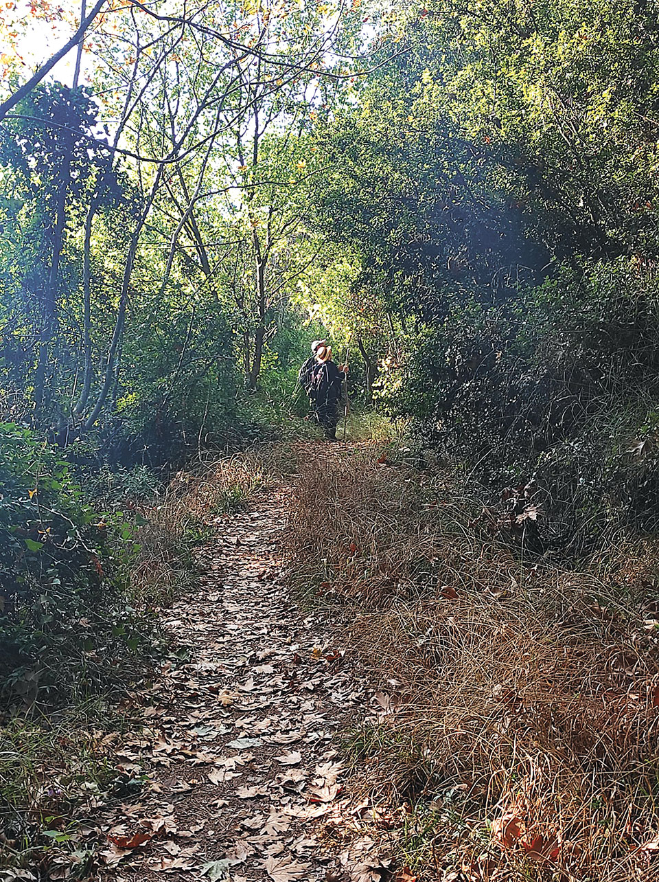 Μια απολαυστική κατάβαση από την Πεντέλη-1