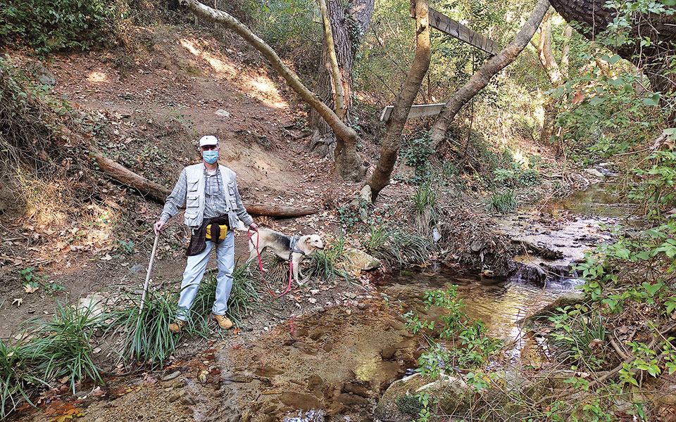 μια-απολαυστική-κατάβαση-από-την-πεντ-561166483