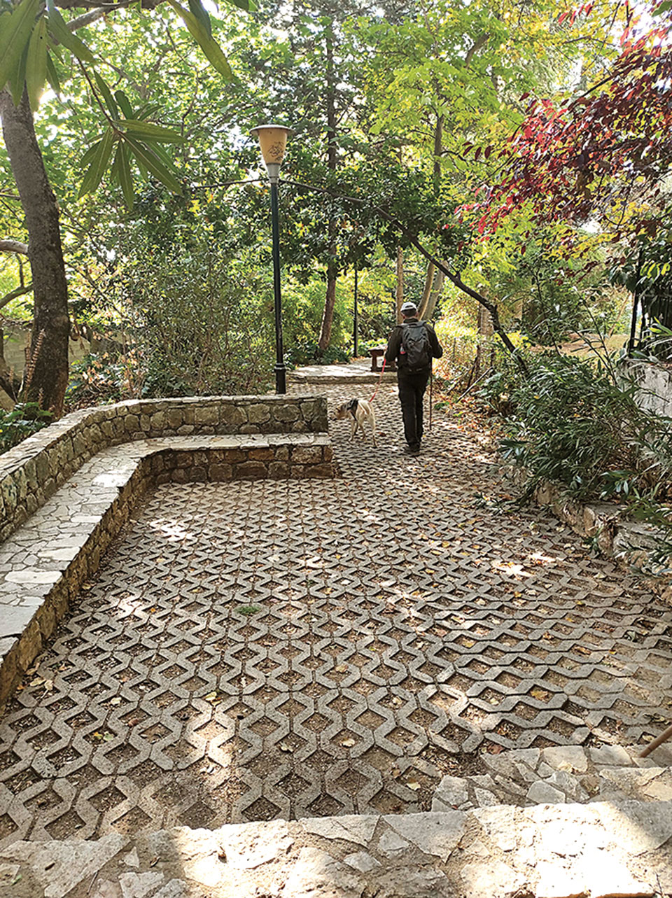 Μια απολαυστική κατάβαση από την Πεντέλη-6