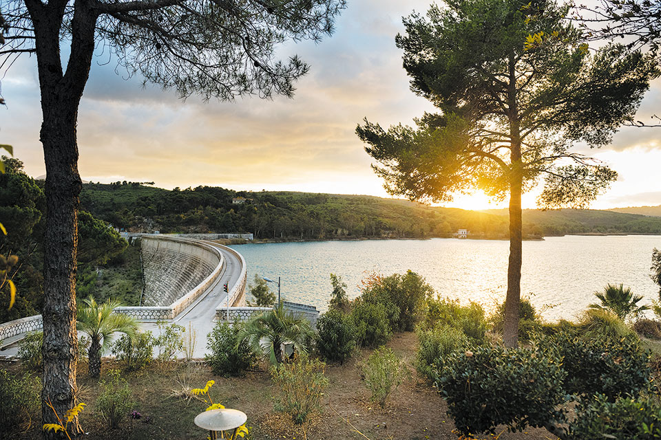 Περίπατος στο δάσος της κουκουναριάς-3